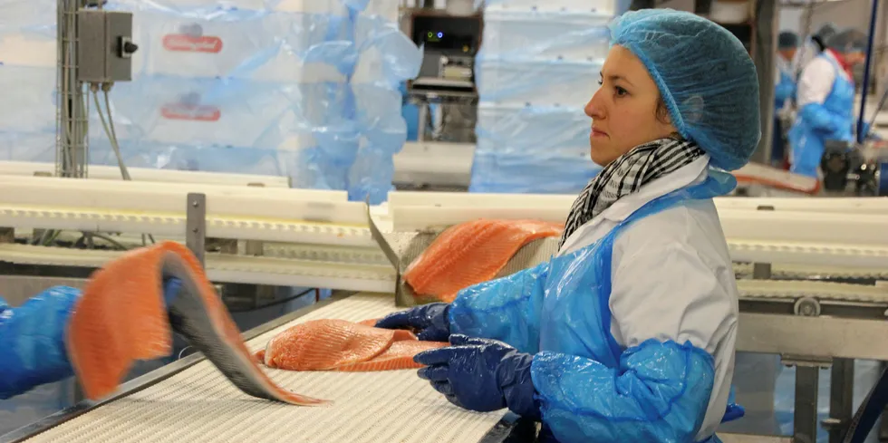 Eksempel på foredlings utenlands – Skagerak Salmon i Hirtshals, Danmark.