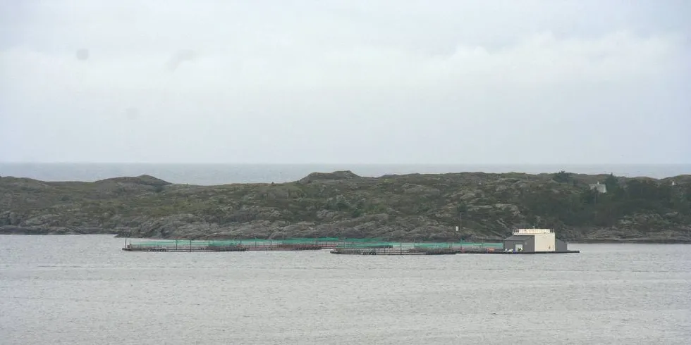 Fylkesnes Fisk sin lokalitet Hiskholmen ved Hiskjo på Bømlo. Sett fra Tverborgvik.Foto: Joar Grindheim