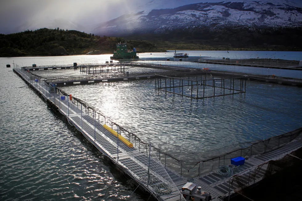 Lakseproduksjon er en viktig drivkraft for økonomisk aktivitet i Magallanes-regionen i Chile.