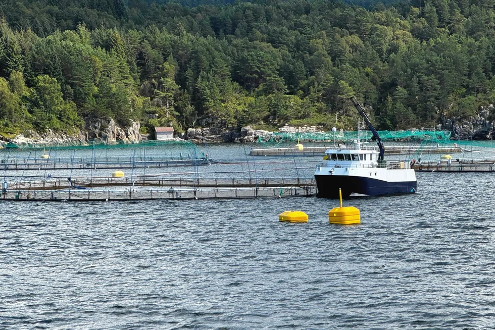 Illustrasjonfoto av lokalitet på Vestlandet. Rådgivningsselskapet EY har nå levert sin årlige rapport om havbruksnæringen.