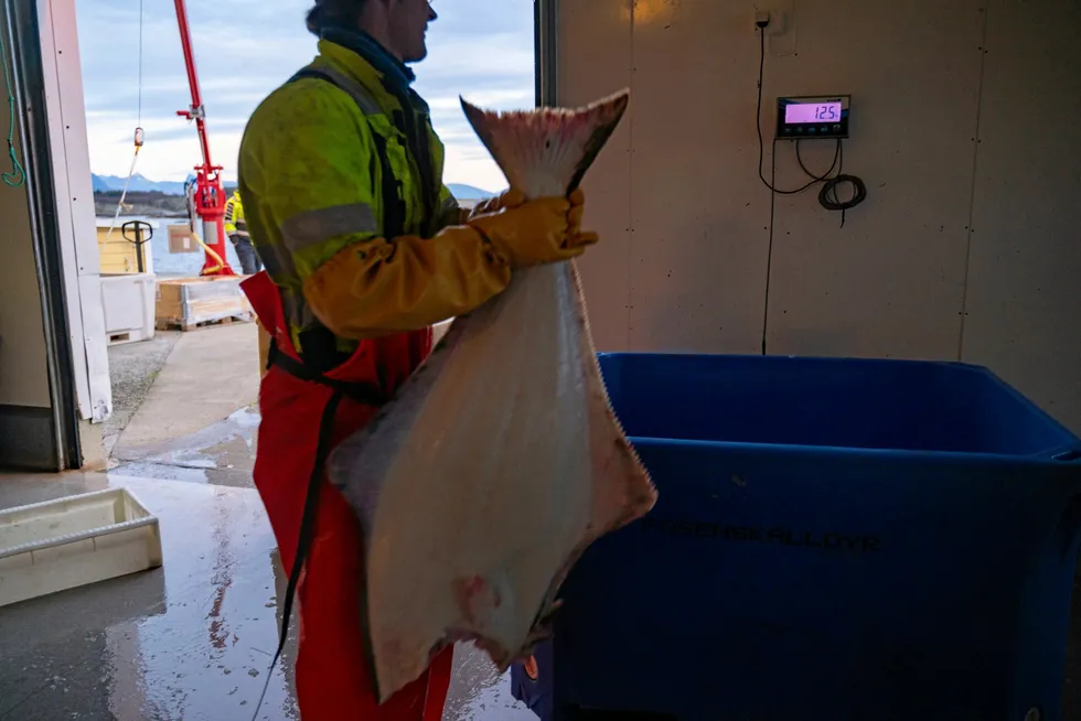 Blant forslagene er fartøykvoter på tre tonn kveite og 10 tonn breiflabb nord for 62°N.