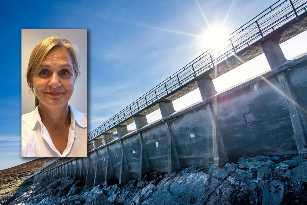 Torill Engen Skaugen leder seksjonen for varsling av flom og jordskredfare i hydrologisk avdeling i NVE.