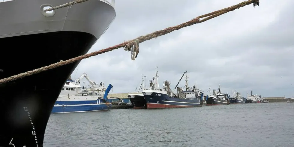 Danmark: Danske fiskefartøy samlet i Thyborøn havn. Skribenten advarer mot tilsvarende utvikling i Norge som i Danmark når det gjelder fiskeflåten.Foto: Nils Torsvik