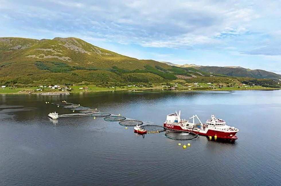 Nordlaks-lokaliteten Sandnes Øst.