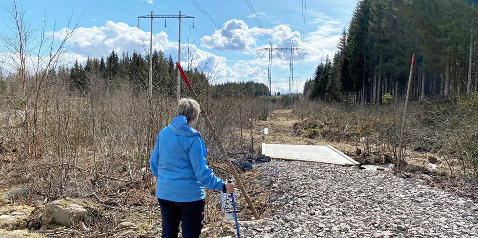 En kald mai-måned gir rekordhøy strømpris. Spesielt i Sør-Norge må strømkundene belage seg på tidenes høyeste mai-regning for strømmen.