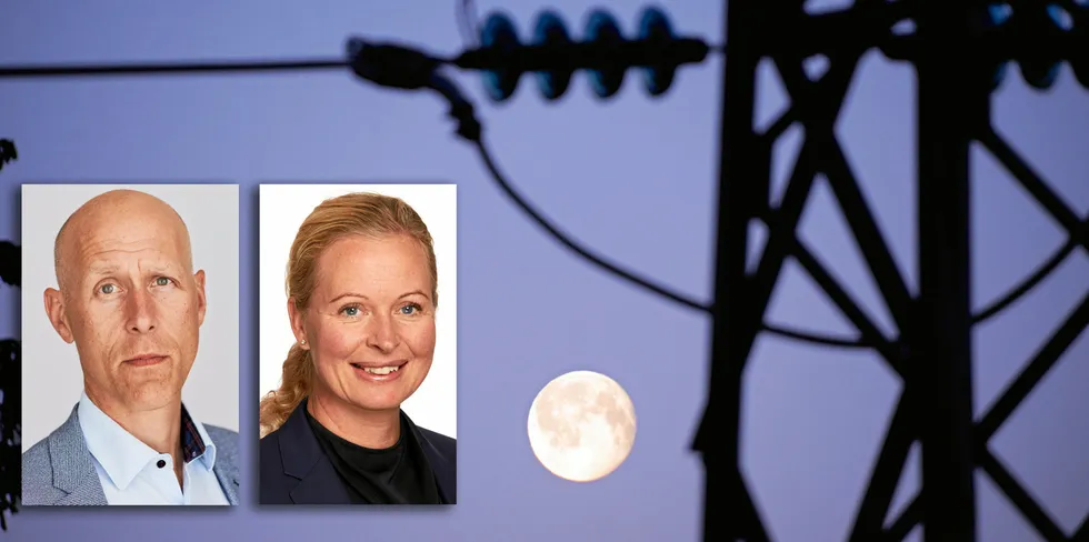 . Statnett og Svenska Kraftnäts fellesselskap Fifty, der Beate Sander Krogstad fra Statnett er styreleder, mister mye av sin betydning når de to selskapene begynner å utvikle separate IT-løsninger. Til venstre Erik Ek fra Svenska kraftnät.