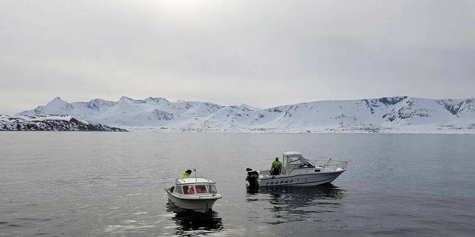 FERDIG MED BLÅKVEITA: Mannskapet på «Stormhav» sløyer fangsten mens de er på havet. Da får de finere kvalitet og kjøper litt mer tid. Arkivfoto: Frank Einar Iversen