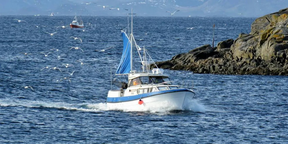 REGIONALISERING: Mer av forvaltningen av kystfiske i fjordene bør overføres til lokale myndigheter, når fylker slås sammen til regioner.Arkivfoto: Jon Eirik Olsen