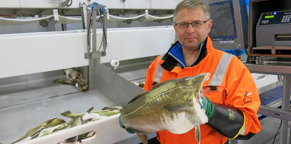 Hans Ivar Pedersen i Oldervik Fiskeindustri og Øksfjord Fiskeindustri, sier at det har vært stor pågang med båter til mottaket i Øksfjord i Vest-innmark.