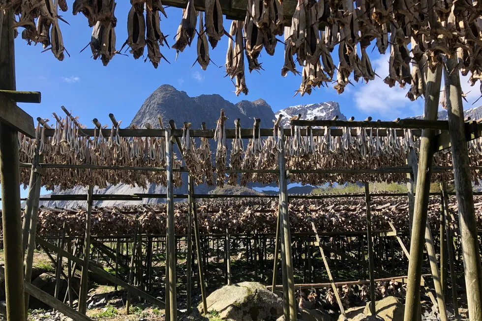 Lofoten, her fra Reine, er blant stedene som opplever høyt turisttrykk og som har ønsket å bli pilot for uttesting av en ordning med turistskatt.