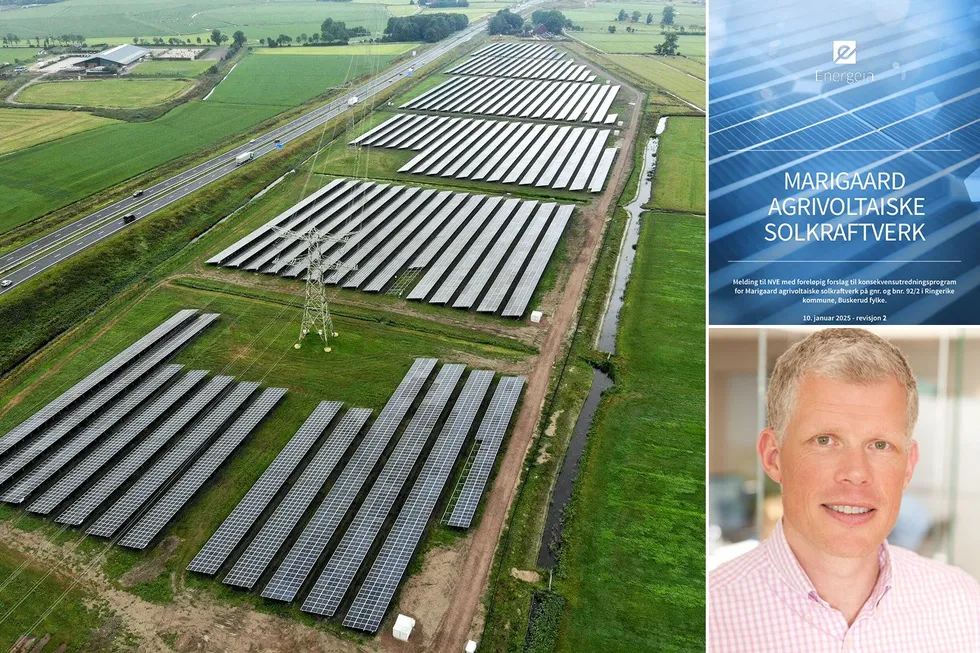 Til venstre: Energeias solkraftverk Drachtsterweg i Nederland. Daglig leder Jan Egil Markussen i Energia (innfelt).