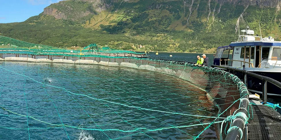 STORE TAP: 2019 har vært et utfordrende år for Salaks. Her lokaliteten Kvanntoneset i Lavangen kommune i Troms.