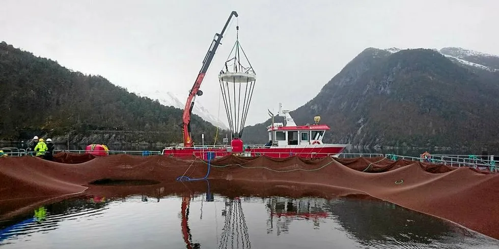 Luftkuppelen senkes ned i merden med lodd.Foto: Havforskningsinstituttet