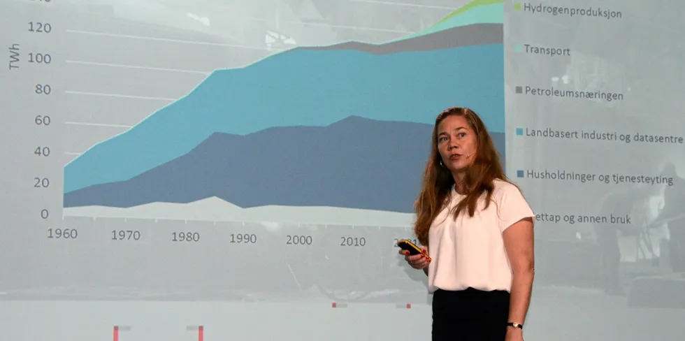 Seksjonssjef Ann Myhrer Østenby presenterte NVEs kraftmarkedsanalyse på Energidagene.