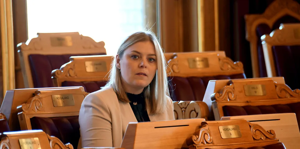 Olje- og energiminister Tina Bru vil ikke umiddelbart kaste seg på kritikken av den rødgrønne regjeringens "månelandingsprosjekt". Hun presiserer at prosjektet ga verdifull kunnskap.