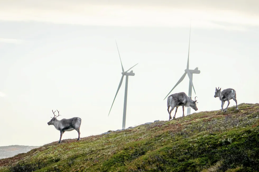 Ved 7 av 13 vindkraftverk har man sett redusert bruk av området etter at et vindkraftverk ble satt i drift.