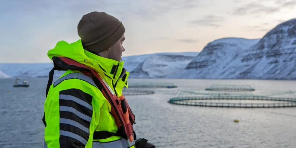 Arnarlax driver lakseoppdrett nordvest på Island