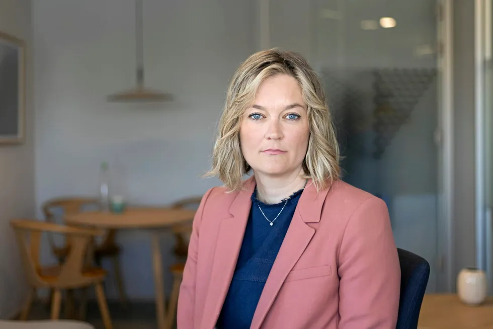 Adele Matheson Mestad ble utnevnt til direktør Norges institusjon for menneskerettigheter i 2019 etter å ha vært assisterende direktør i to år. Hun har blant annet bakgrunn som advokat hos Regjeringsadvokaten og megler hos Riksmegleren.