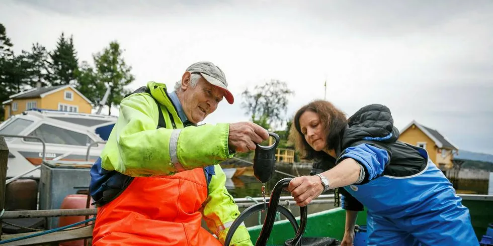 FORSKNINGSFISKE: Fisker Ole Magnus Leknes bidrar til å gi forsker Caroline Durif data om ålen. Her fra forskningsfiske i fjor i Hjelmås, Lindås.Foto: Erlend A. Lorentzen / Havforskningsinstituttet