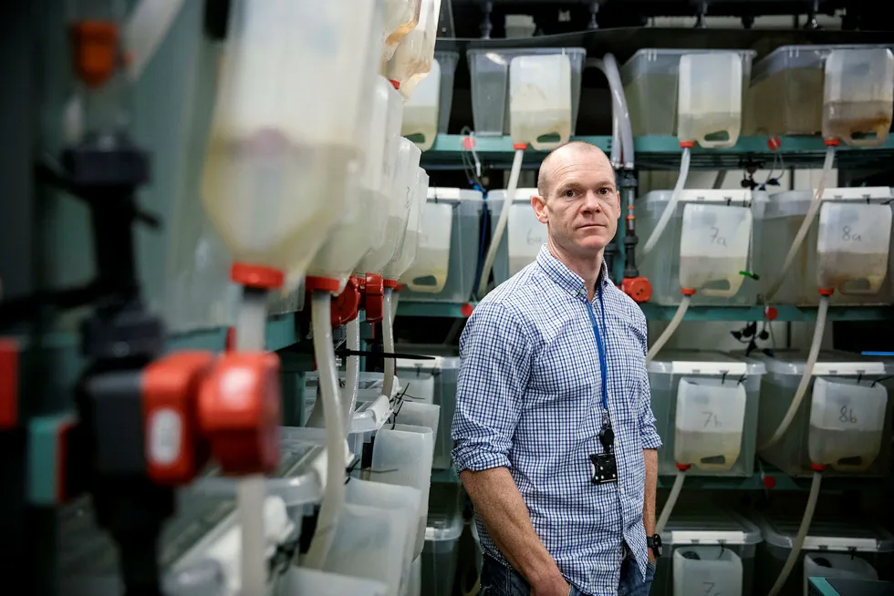 Kevin Glover, her i lakseluslaboratoriet på Havforskningsinstituttet er ikke i tvil om hva som er hovedkilden til lakselusspredningen langs norskekysten. Foto: Eivind Senneset
