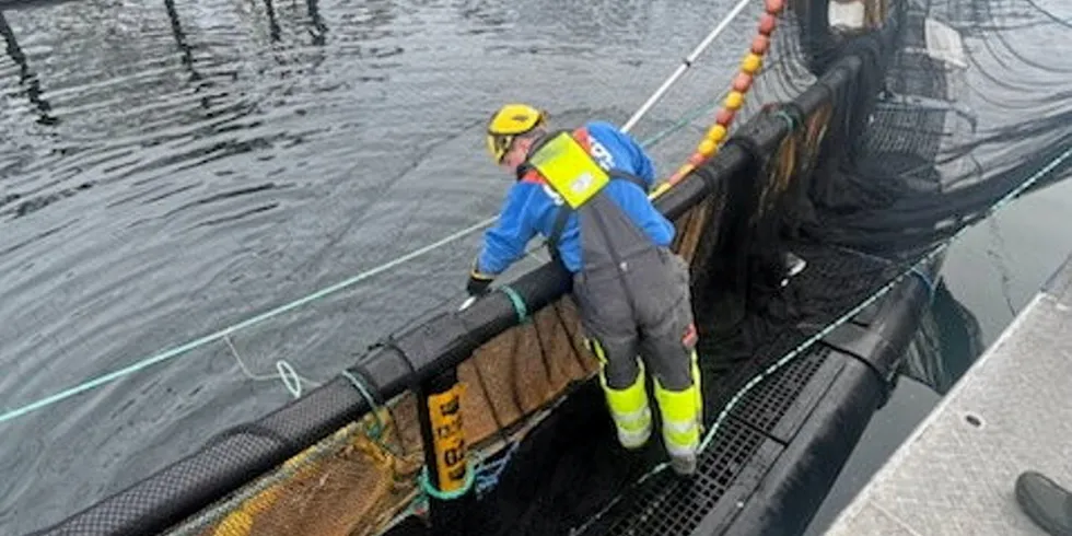 Grieg Seafood har hatt store utfordringer i Finnmark i 2023. Der har både vært parasitter, bakteriesykdommer og perlesnormaneter ført til økt fiskedødelighet, dårligere fiskevelferd og lavere priser på fisken.