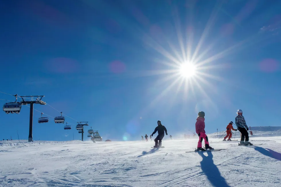 Skistar eier blant annet Trysilfjellet alpinsenter.