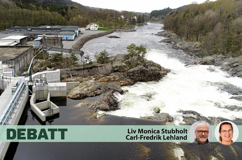 Småskala utbygging av vassdrag tar liten plass, har lave levetidskostnader, og kanskje aller viktigst nå: Det kan skje raskt, skriver artikkelforfatterne.