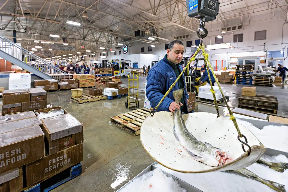 Bronx, USA: Fiskehandler Mike Sciabarra i Mount Sinai Fish veier skreien han har fra Myre i Vesterålen på New Fulton Fish Marked sak. Salg av norsk sjømat øker i USA, Bildet er tatt ved en tidligere anledning.