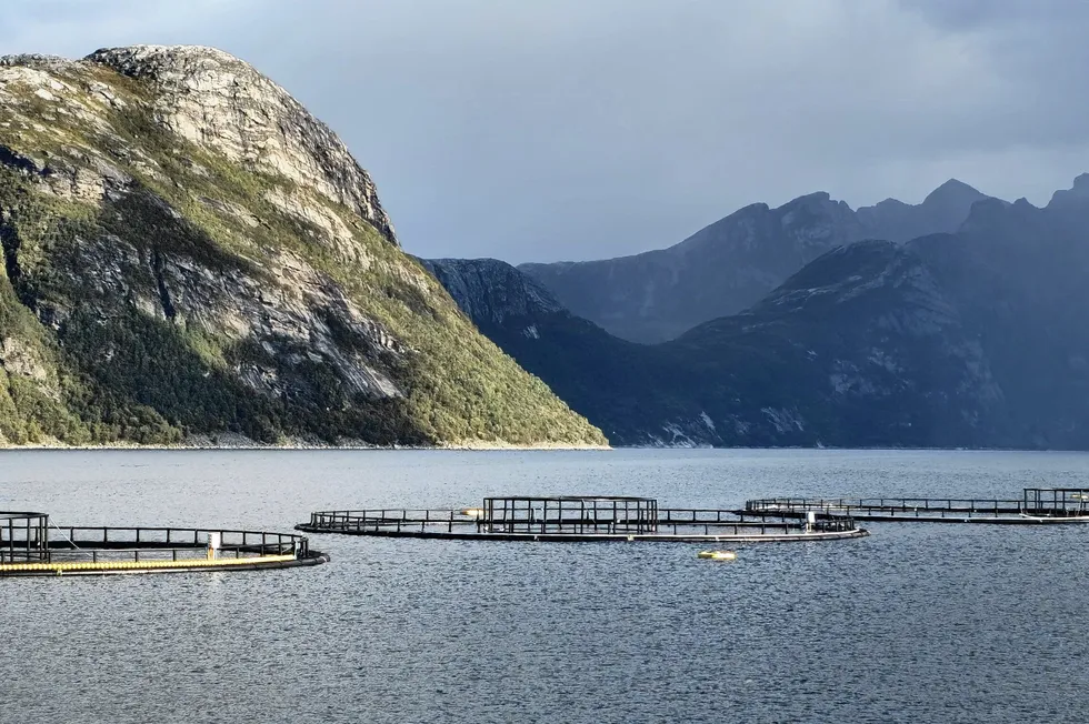 Matproduksjon på en Gifas-lokalitet.