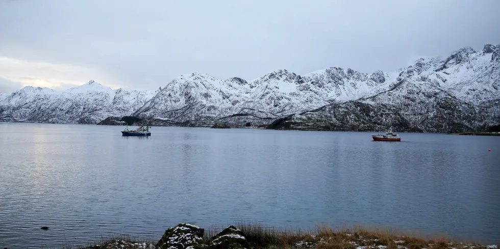 «Trønderhav» og «Topas» på jakt etter sild i Steinlandsfjorden i Øksnes i januar i år.
