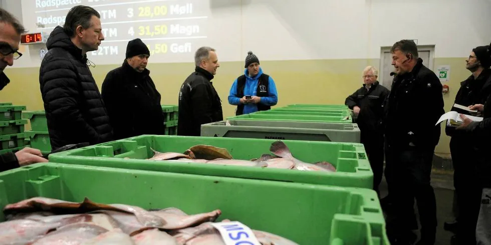 Halvparten av fisken som selges på fiskeauksjonen i Hirtshals er rødspette. I Nordsjøen har det vært en sterk økning i rødspettebestanden. Gytebestanden har økt fra litt over 200.000 tonn i 2000 til over 900.000 i 2017.Arkivfoto: Kjersti Kvile