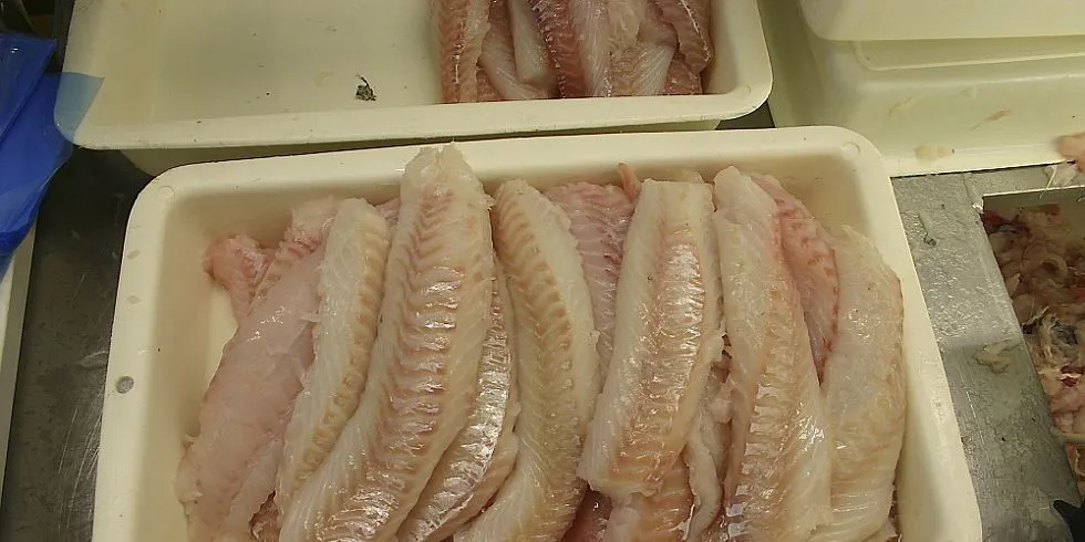 Opptil 40 prosent av vekten på fryst torsk er vann. Det viser en undersøkelse som matforskningsinstituttet Nofima har utført for NRKs forbrukerredaksjon. Illustrasjonsfoto