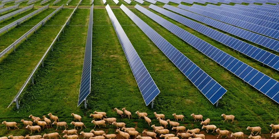 Solar farm near Dobbo in New South Wales