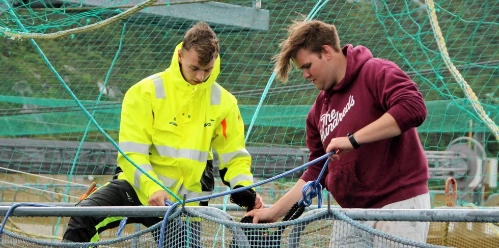 Torbjørn Fosså t.v. og Lars Henning Fosse er nyleg blitt fagarbeidarar innan akvakultur. Her gjer dei klart til å fanga laks som skal undersøkast av veterinær på Bolaks sitt anlegg i Altaneset.