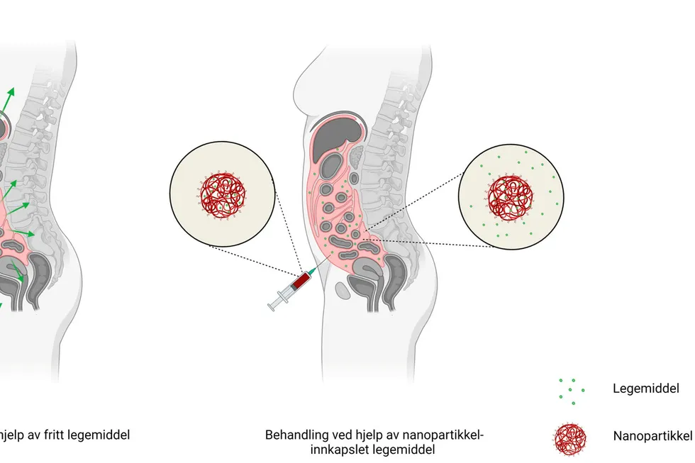 Slik øker nanoinnkapslingen tiden legemiddelet (grønt) befinner seg i bukhulen (rosa), sammenlignet med når legemiddelet blir injisert fritt.