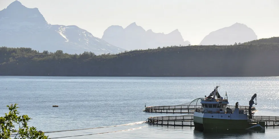 En nabolokalitet til Matvika er Kalvik i Leifjorden i Sørfold kommune i Nordland.