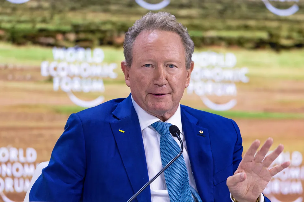 Fortescue chairman Andrew Forrest speaking on a panel at the World Economic Forum in Davos.