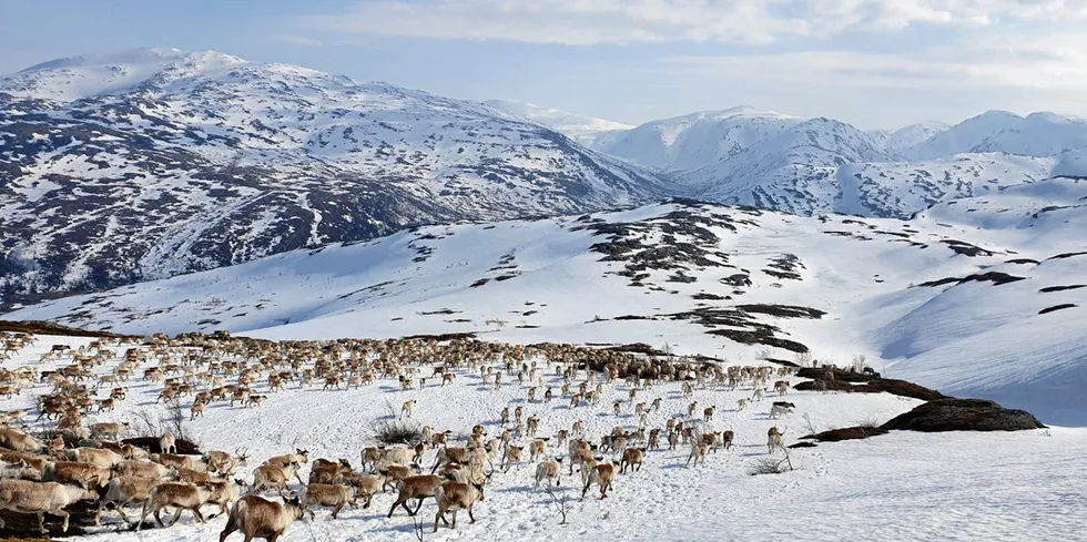 NVE har sagt ja til utsatt oppstart av Øyfjellet vindkraftverk. Rødt mener det ikke er anledning til dette, mens Olje- og energiministeren mener det er vanskelig å si nei til utsettelse på bakgrunn av «force majeure».