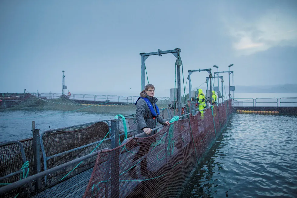 Inge Berg er eier og administrerende direktør i det familieeide Nordlaks-konsernet mener ti konsesjoner er for lite til å forsvare investeringene, og anket avgjørelsen. – Det er en følelsesbasert forvaltning og en sneversynt synsing som ligger bak beslutningene, sier Berg. Foto: Marius Fiskum