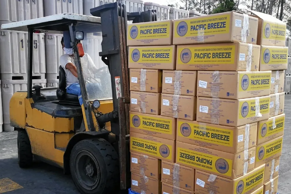 Ecuador shrimp exports start 2025 on a high note.