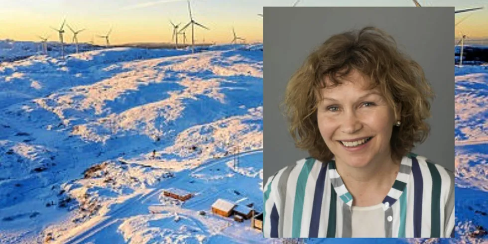 Seniorforsker Katrina Rønningen. I bakgrunnen vindkraftanlegget på Roan, som nylig ble kjent ugyldig i Høyesterett.