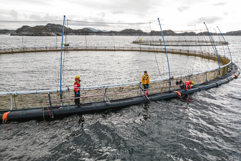 Harbor på monteringsarbeid hos en kunde.