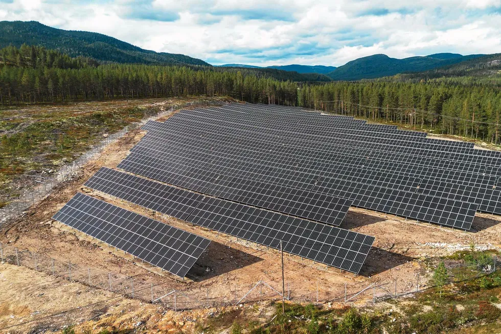 Demmeåsen solkraftverk i Halden kommer til å bli et av de aller største solkraftverkene i Norge, hvis det får konsesjon. Det er nestn 30 ganger større enn Furuseth solkraftverk som her er avbildet.