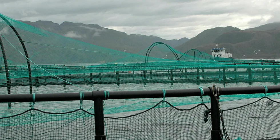 Her et glimt fra Grieg Seafood Finnmark sitt anlegg i Alta.