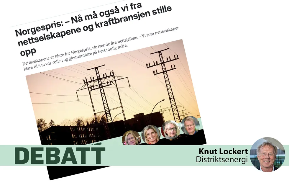 – Strømselgerne bør ta hånd om Norgespris