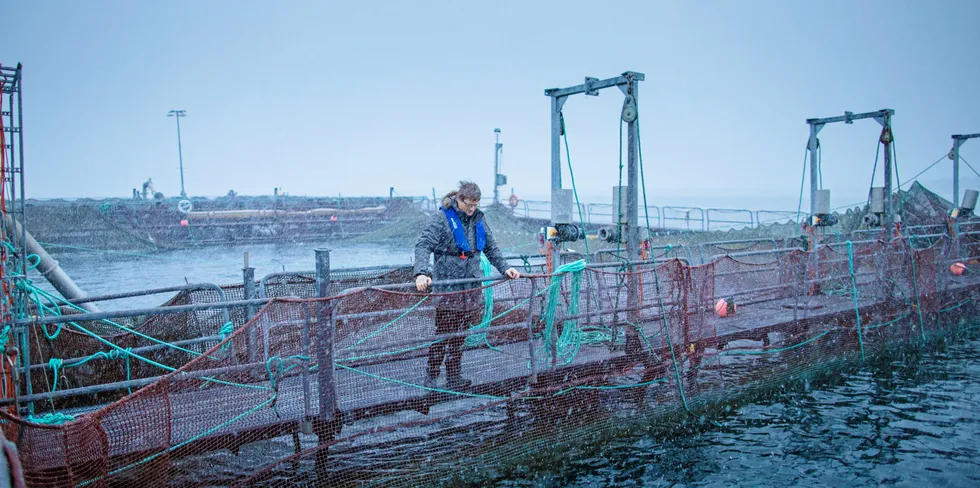 Lokale eiere må ta ut utbytte av overskudd i driften av selskapet for å betale skatten. I neste runde gir dette mindre rom for å investere i miljøriktig teknologi for å redusere miljøavtrykket ytterligere. Bildet er av Nordlaks.