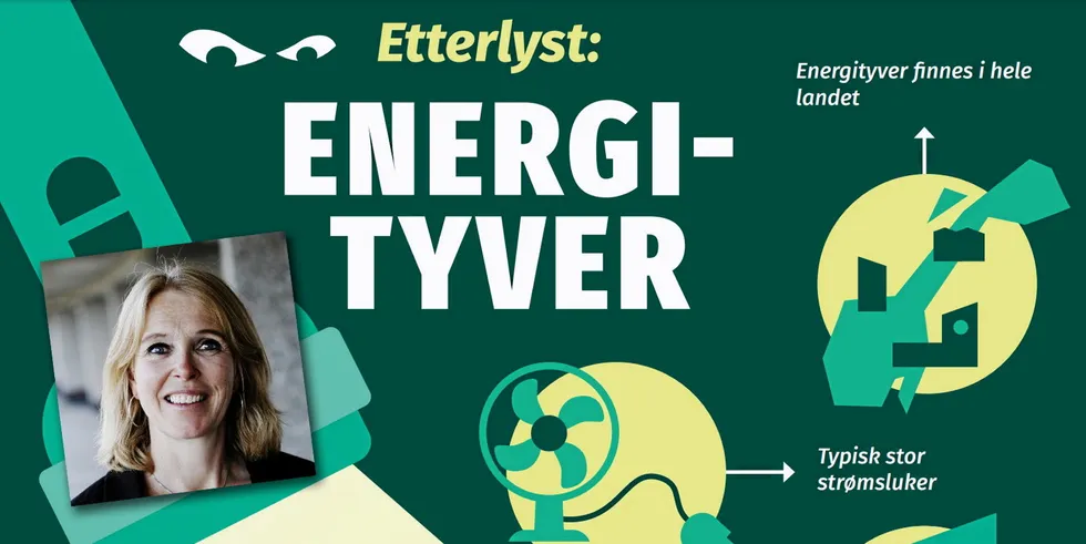 – Kampanjen er en del av oppdraget om å drive informasjonsvirksomhet rundt energieffektivisering, sier seksjonssjef i NVE Maren Esmark.