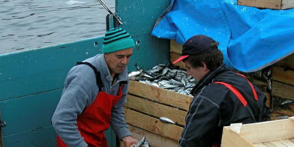 VIKTIG HAVN: Vigo i Spania er en viktig havn for tilførsler av fersk fisk til det spanske markedet, og særdeles viktig i disse tider med korona-pandemi.