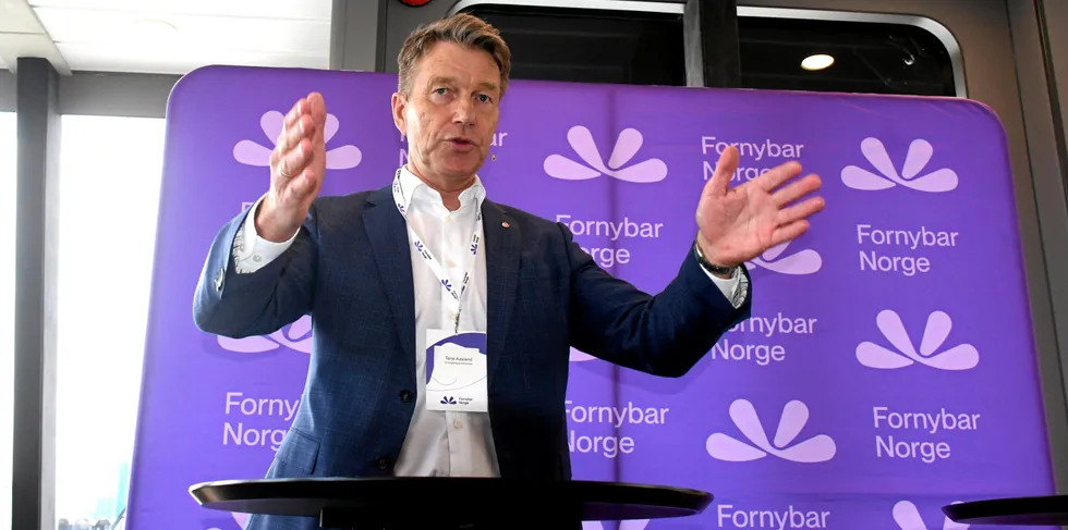 Energiminister Terje Aasland gir snart ordre til NVE og Statnett om at de skal samordne analysearbeidet sitt.