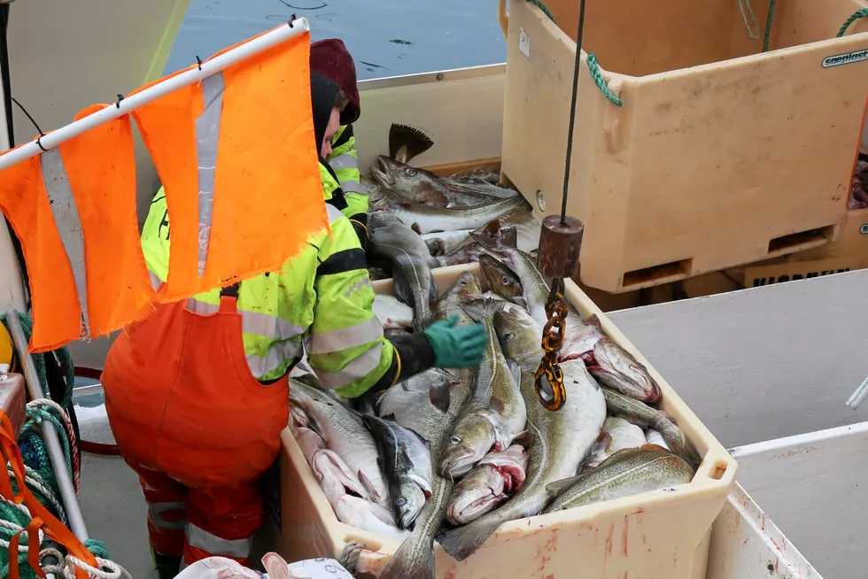 Fiskerne mener å ha god kontroll på hvor mye fisk som er i kar og containere, men opplever at mange fiskebruk avkorter vekta betydelig når de veier fisken alene inne på fiskebruket.